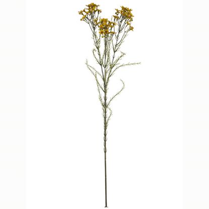 Picture of 79cm WAXFLOWER SPRAY DRY COLOUR MUSTARD