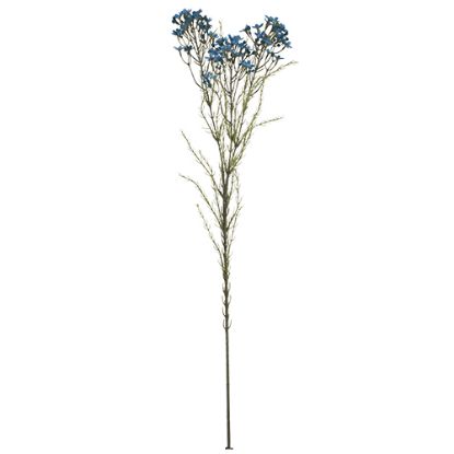 Picture of 79cm WAXFLOWER SPRAY DRY COLOUR TEAL