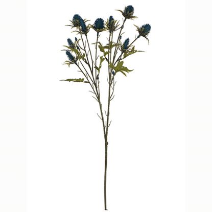 Picture of 68cm ERYNGIUM (SEA HOLLY) SPRAY DRY COLOUR TEAL