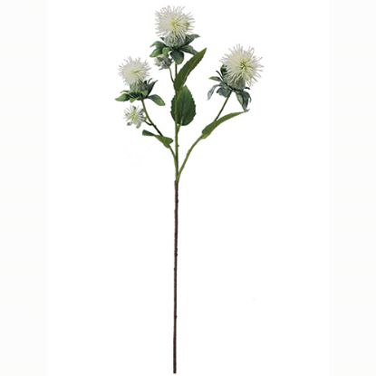 Picture of 57cm THISTLE SPRAY IVORY