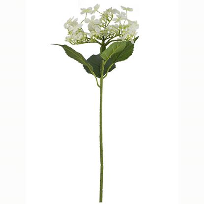 Picture of 70cm LARGE BUTTERFLY HYDRANGEA IVORY