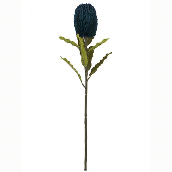 Picture of 65cm LARGE BANKSIA DRY COLOUR TEAL