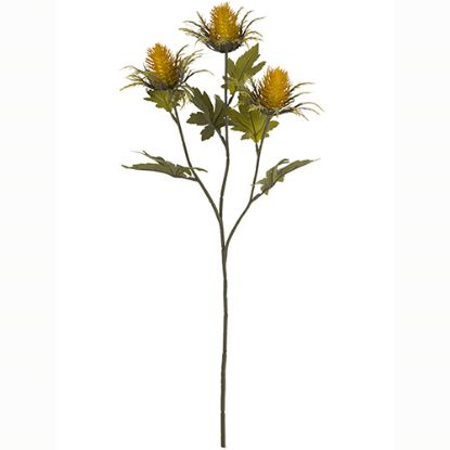 Picture of 67cm TEASEL SPRAY DRY COLOUR MUSTARD