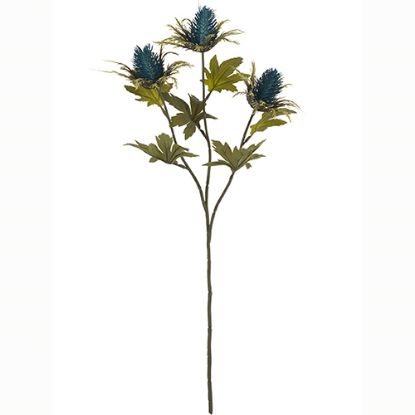 Picture of 67cm TEASEL SPRAY DRY COLOUR TEAL