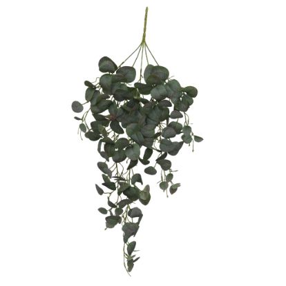 Picture of 80cm EUCALYPTUS TRAIL GREEN