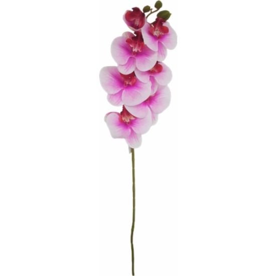 Picture of 75cm PHALAENOPSIS ORCHID SPRAY FUCHSIA