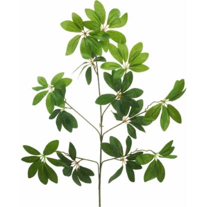 Picture of 66cm MONEY LEAF SPRAY (91 LEAVES) GREEN X 6pcs
