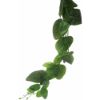 Picture of 215cm EUCALYPTUS GARLAND GREEN