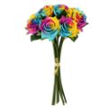 Picture for category Rainbow Roses