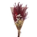 Picture for category Dried Bouquets
