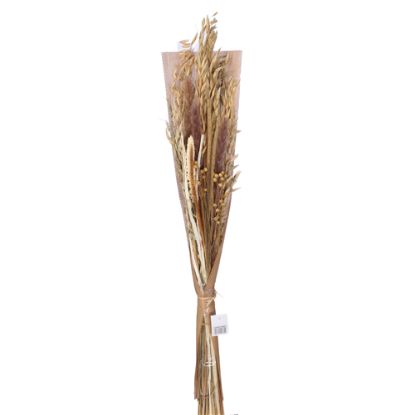 Picture of DRIED FLOWER BOUQUET - NATURAL/CREAM