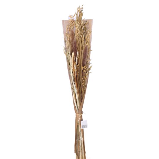 Picture of DRIED FLOWER BOUQUET - NATURAL/CREAM
