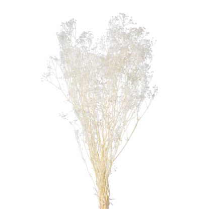 Picture of DRIED FLOWERS - GYPSOPHILA DREAM STAR 70cm (100 grams) BLEACHED