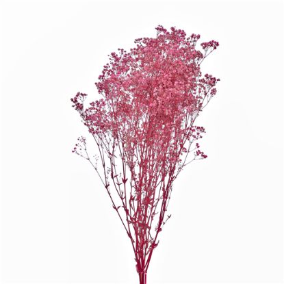 Picture of DRIED FLOWERS - GYPSOPHILA BABYS BREATH 70cm (120 grams) VINTAGE PINK