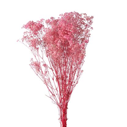 Picture of DRIED FLOWERS - GYPSOPHILA BABYS BREATH 70cm (120 grams) PINK