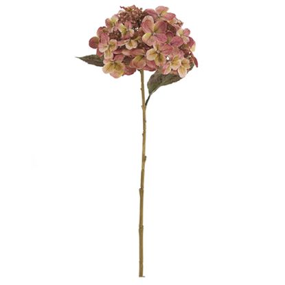 Picture of 52cm LARGE BUDDING HYDRANGEA DRY COLOUR PINK