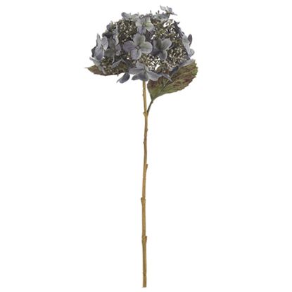 Picture of 52cm LARGE BUDDING HYDRANGEA DRY COLOUR GREY