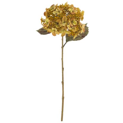 Picture of 52cm LARGE BUDDING HYDRANGEA DRY COLOUR MUSTARD