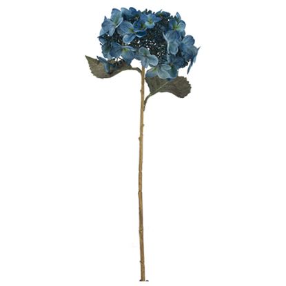 Picture of 52cm LARGE BUDDING HYDRANGEA DRY COLOUR TEAL