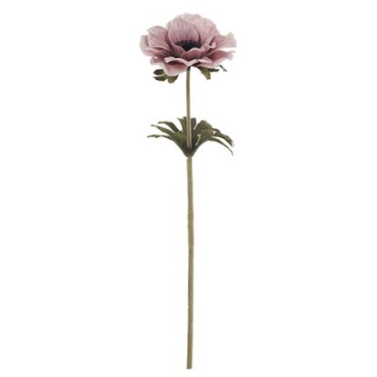Picture of 35cm SINGLE ANEMONE DRY COLOUR PINK