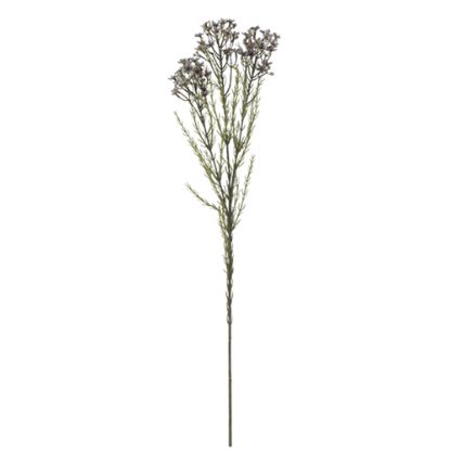 Picture of 79cm WAXFLOWER SPRAY DRY COLOUR GREY