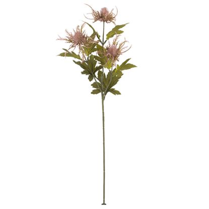 Picture of 66cm ERYNGIUM (SEA HOLLY) SPRAY DRY COLOUR PINK
