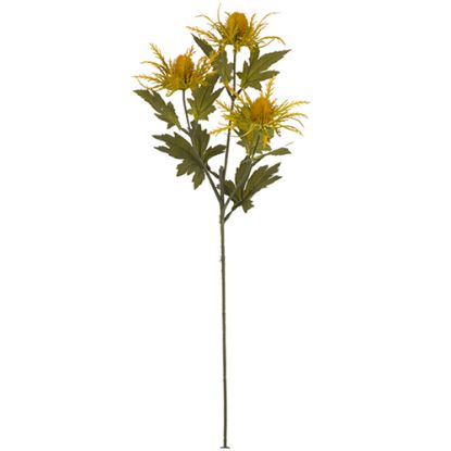 Picture of 66cm ERYNGIUM (SEA HOLLY) SPRAY DRY COLOUR MUSTARD