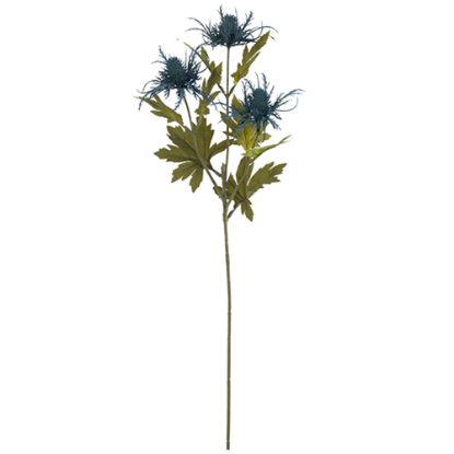 Picture of 66cm ERYNGIUM (SEA HOLLY) SPRAY DRY COLOUR TEAL