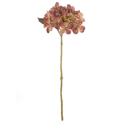 Picture of 52cm BUDDING HYDRANGEA DRY COLOUR PINK