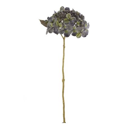 Picture of 52cm BUDDING HYDRANGEA DRY COLOUR GREY