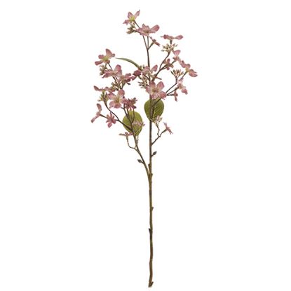 Picture of 63cm FORGET-ME-NOT SPRAY DRY COLOUR PINK