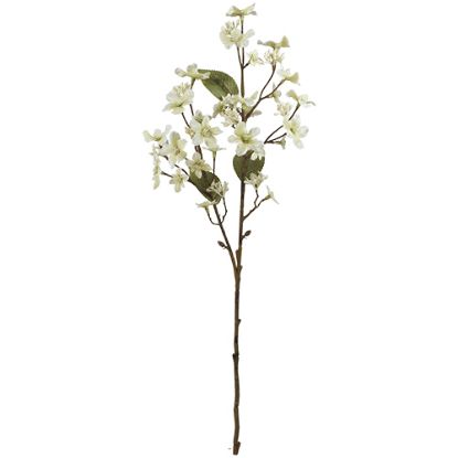 Picture of 63cm FORGET-ME-NOT SPRAY DRY COLOUR CREAM