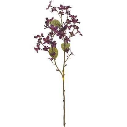 Picture of 63cm FORGET-ME-NOT SPRAY DRY COLOUR BURGUNDY