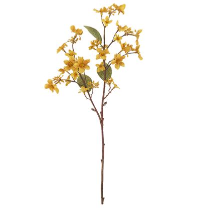 Picture of 63cm FORGET-ME-NOT SPRAY DRY COLOUR MUSTARD