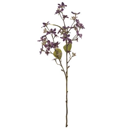 Picture of 63cm FORGET-ME-NOT SPRAY DRY COLOUR LILAC/PURPLE
