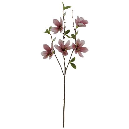 Picture of 64cm MAGNOLIA SPRAY DRY COLOUR PINK