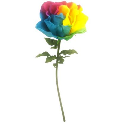 Picture of 136cm XL GIANT SINGLE ROSE RAINBOW