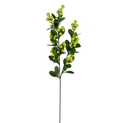Picture of 70cm BERRY SPRAY GREEN