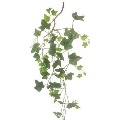 Picture of 79cm IVY TRAIL GREEN