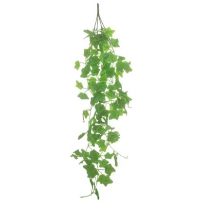 Picture of 100cm TRAILING IVY BUSH GREEN