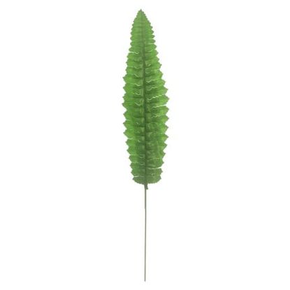 Picture of 36cm FERN LEAF TWO TONE GREEN X 12pcs