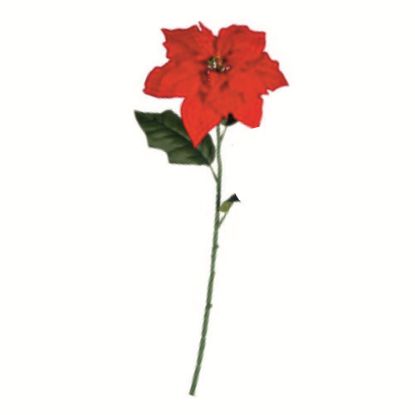 Picture of 62cm SINGLE POINSETTIA RED