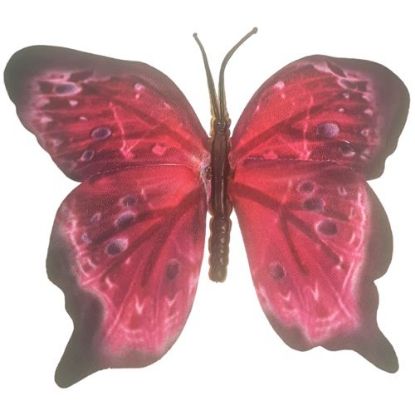 Picture of 8cm BUTTERFLY ON WIRE CERISE/BLACK X 36pcs