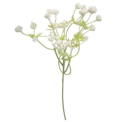 Picture of 34cm GYP BUNDLE (3 STEMS) WHITE