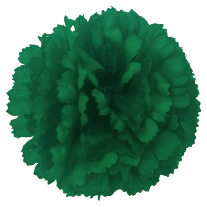 Picture of CARNATION PICK EMERALD GREEN X 144pcs (IN POLYBAG)