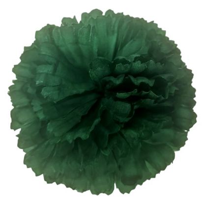 Picture of CARNATION PICK HUNTER GREEN X 144pcs (IN POLYBAG)