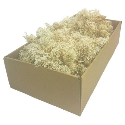 Picture of FINLAND (REINDEER) MOSS NATURAL X 500g