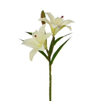 Picture of 38cm LILY SPRAY IVORY