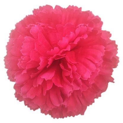 Picture of CARNATION PICK FUCHSIA X 144pcs (IN POLYBAG)