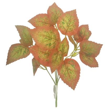 Picture of 30cm COLEUS BUSH RED/GREEN